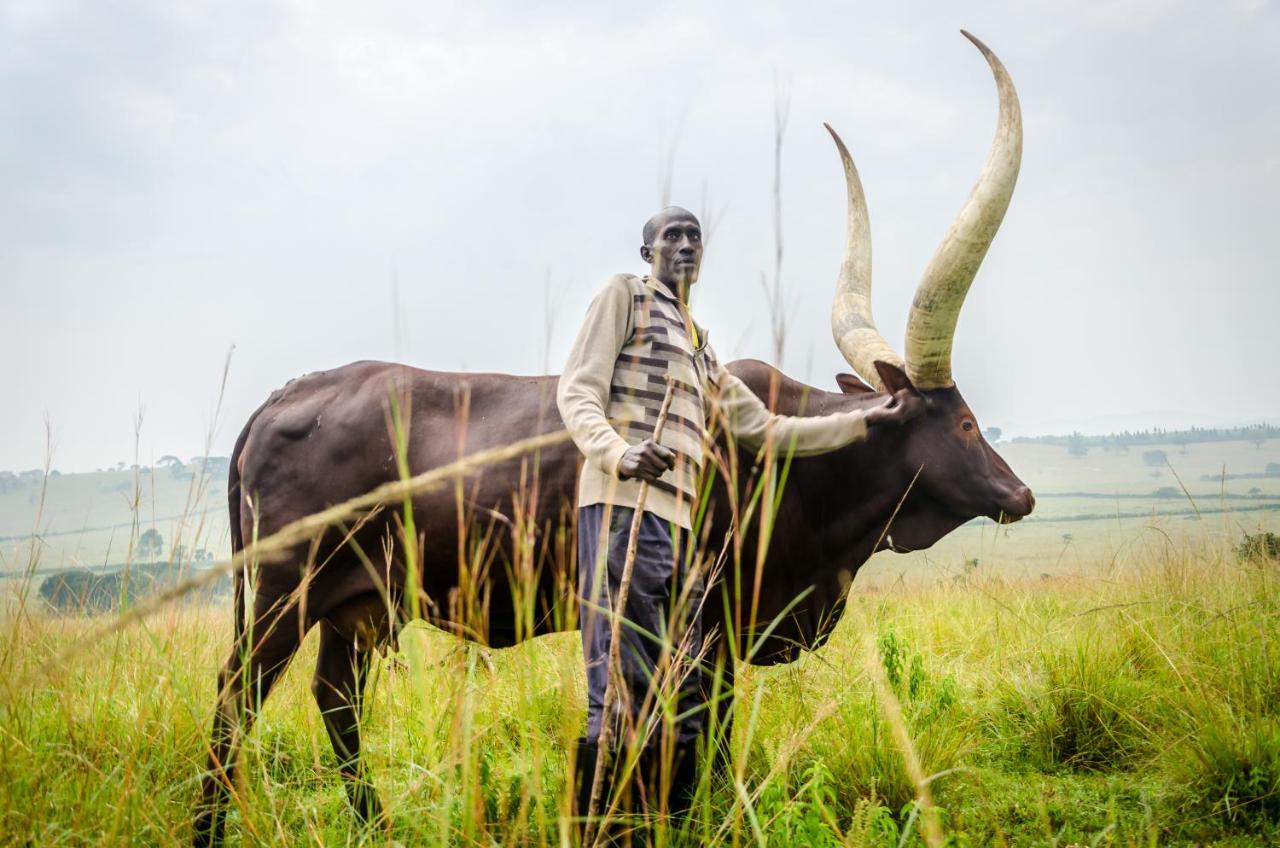 Emburara Farm Lodge Mbarara Bagian luar foto